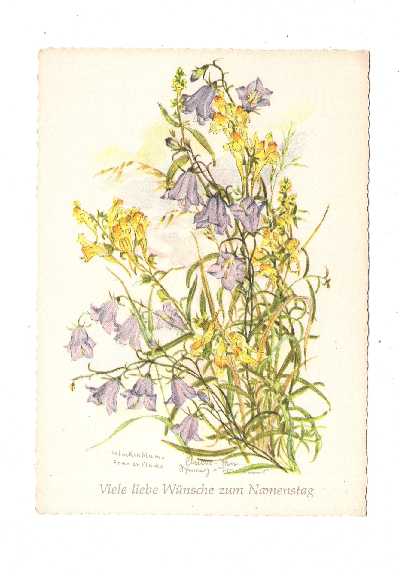 Ansichtskarte Glückwünsche / Glückwunsch zum Namenstag / L1-64