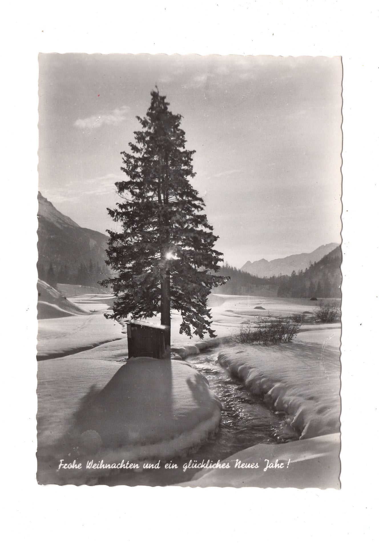 Ansichtskarte Feiertage / Frohe Weihnachten / K1-68