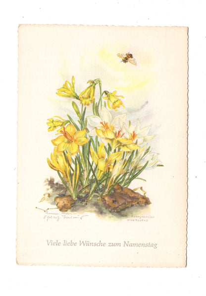 Ansichtskarte Glückwünsche / Glückwunsch zum Namenstag / L1-64