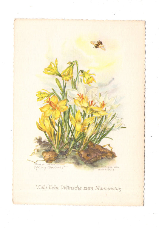 Ansichtskarte Glückwünsche / Glückwunsch zum Namenstag / L1-64