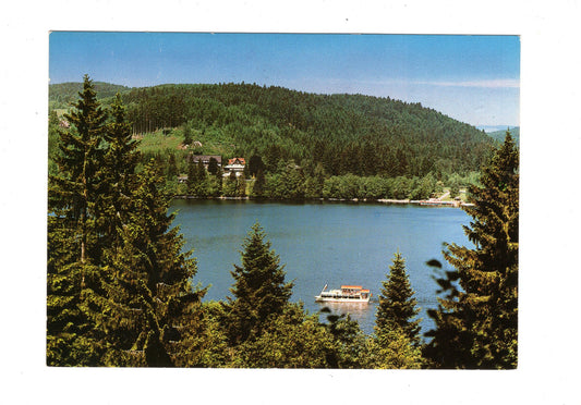 Ansichtskarte Freizeithaus Tannfried / Titisee-Neustadt / G1-66