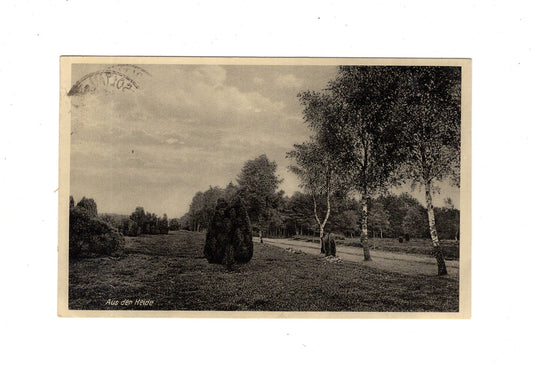 Ansichtskarte Aus der Heide