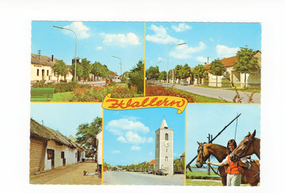 Ansichtskarte Wallern im Seewinkel / Burgenland / Österreich