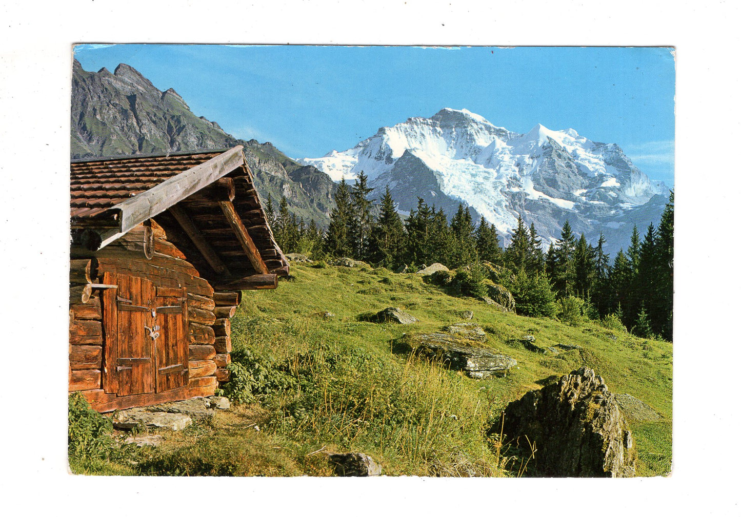 Ansichtskarte Wengen / Jungfrau / Schweiz