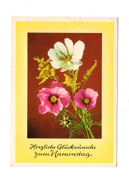 Ansichtskarte Glückwünsche / Glückwunsch zum Namenstag / L1-64