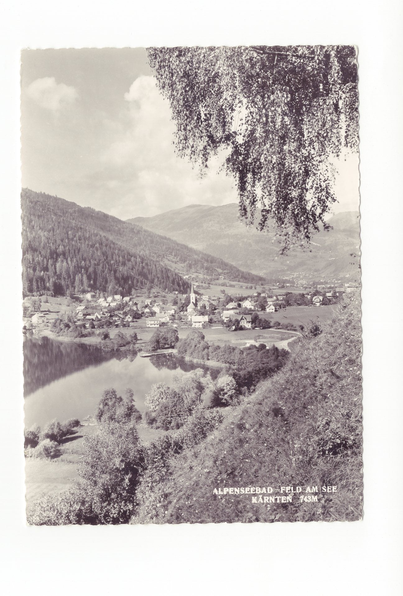 Ansichtskarte Feld am See / Kärnten / Österreich