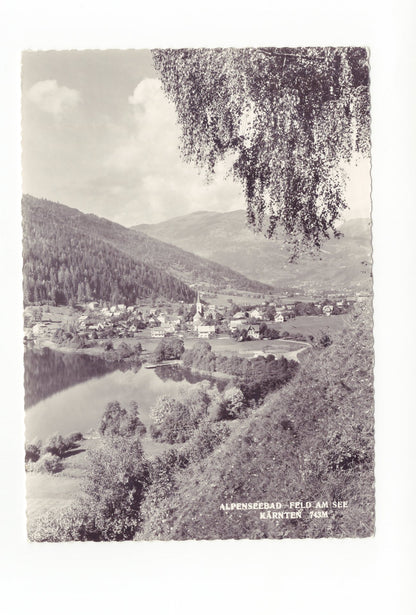 Ansichtskarte Feld am See / Kärnten / Österreich