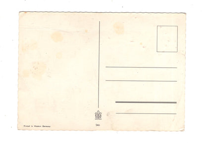 Ansichtskarte Glückwünsche / Glückwunsch zum Namenstag / L1-64