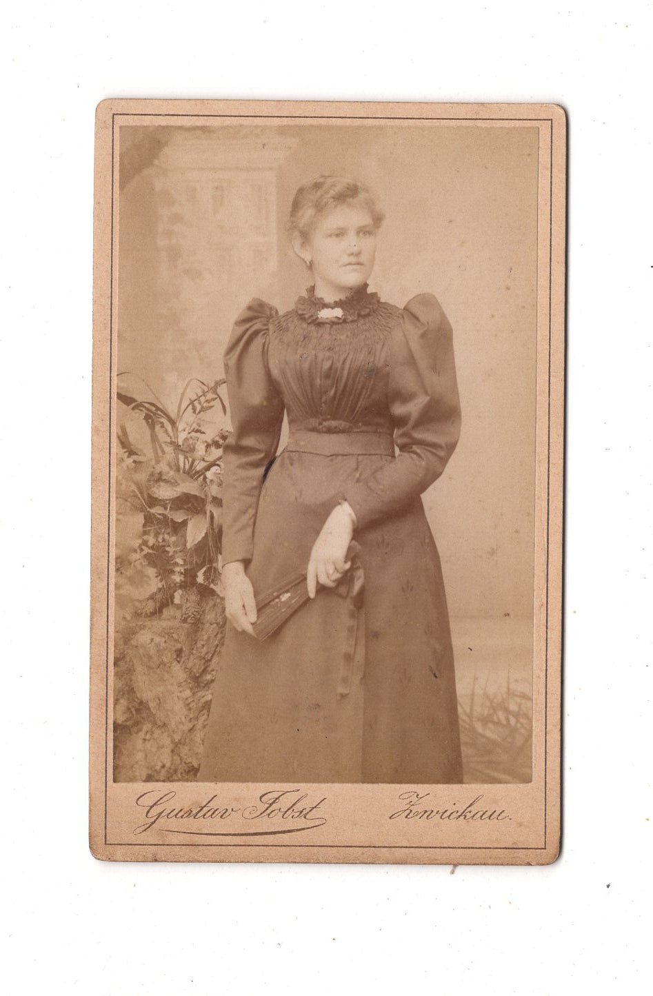 Fotografie Feine Dame - Zwickau / Niederplanitz um 1890 / CDV L1-33