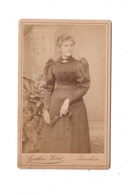 Fotografie Feine Dame - Zwickau / Niederplanitz um 1890 / CDV L1-33