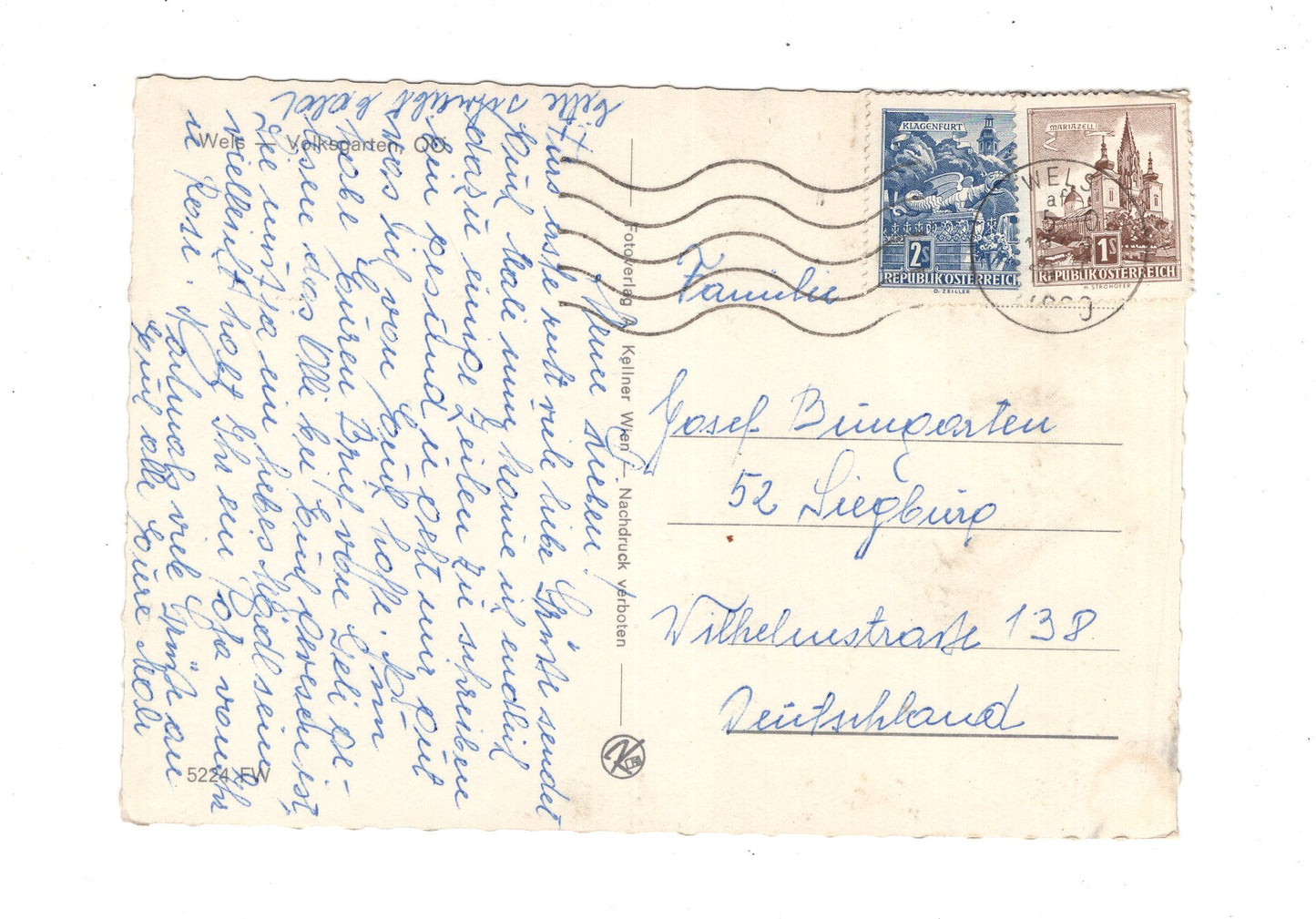 Ansichtskarte Wels / Volksgarten / Oberösterreich / Österreich