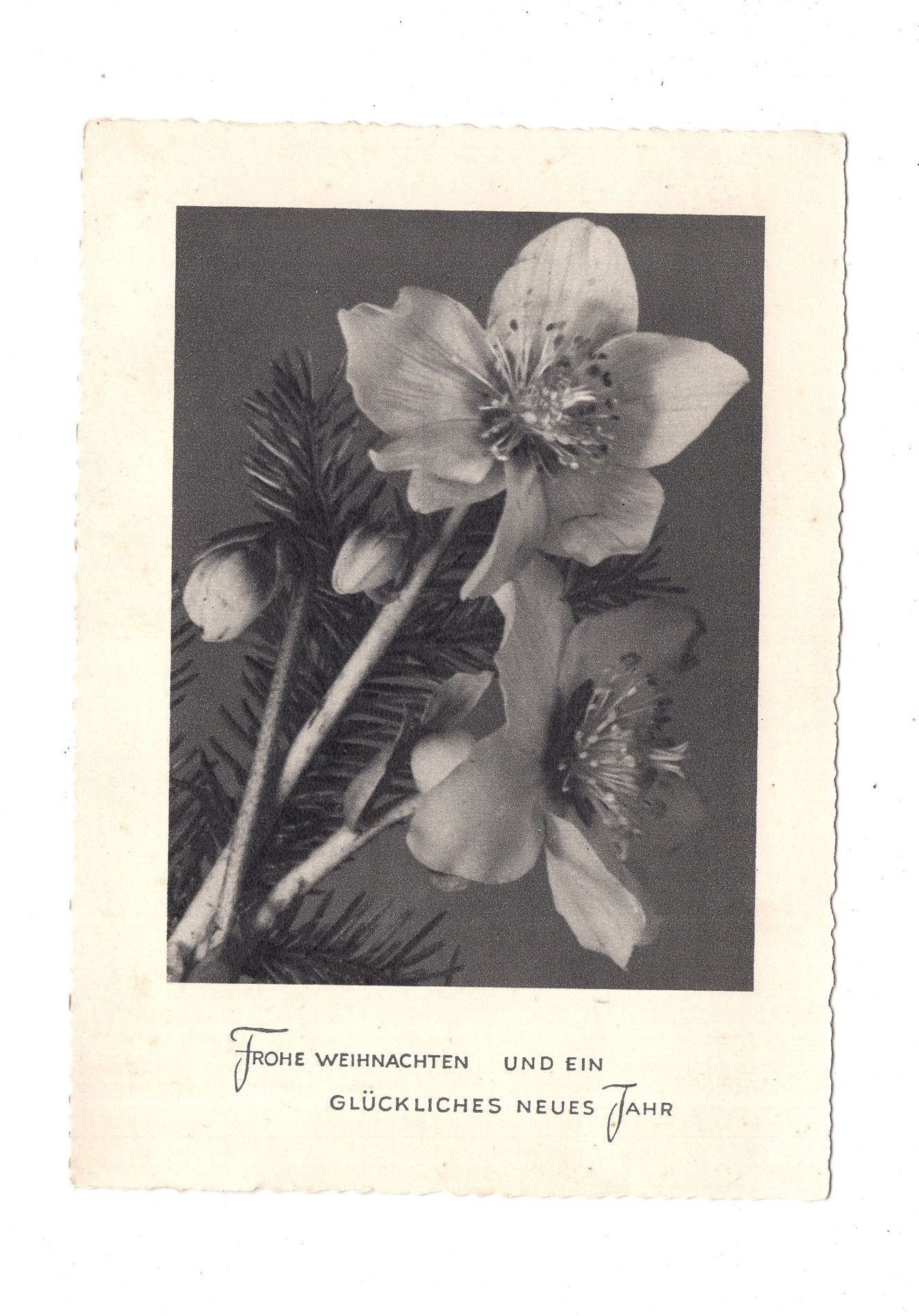 Ansichtskarte Feiertage / Frohe Weihnachten / K1-68