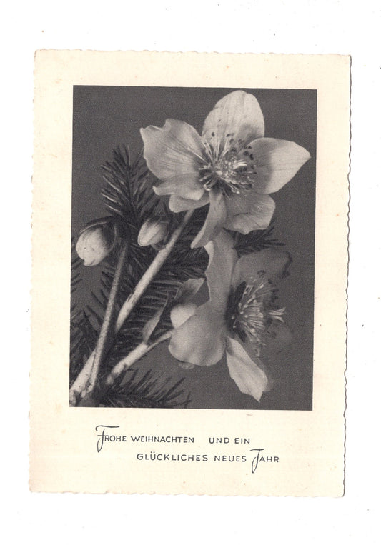 Ansichtskarte Feiertage / Frohe Weihnachten / K1-68