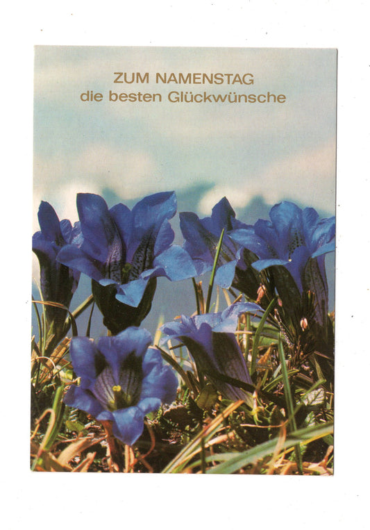 Ansichtskarte Glückwünsche / Glückwunsch zum Namenstag / L1-64