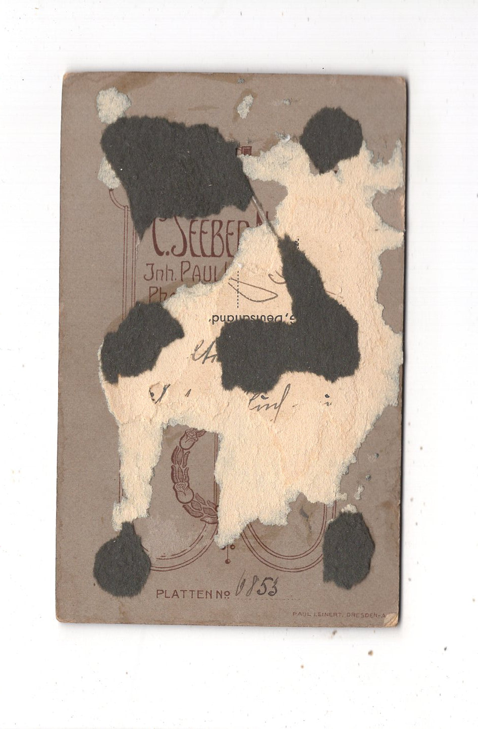 Fotografie Soldat - Oberwiesa 1900er