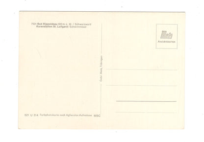Ansichtskarte Bad Rippoldsau / Schwarzwald / Kuranstalten St. Luitgard