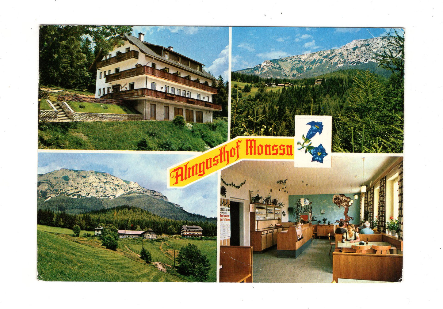 Ansichtskarte Almgasthof Moassa / Kapellen / Steiermark / Österreich