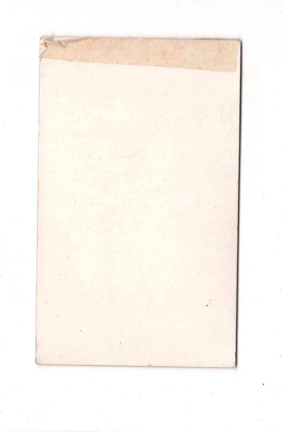 Fotografie Damenportrait - Frankfurt Main 1890er / CDV C1-12