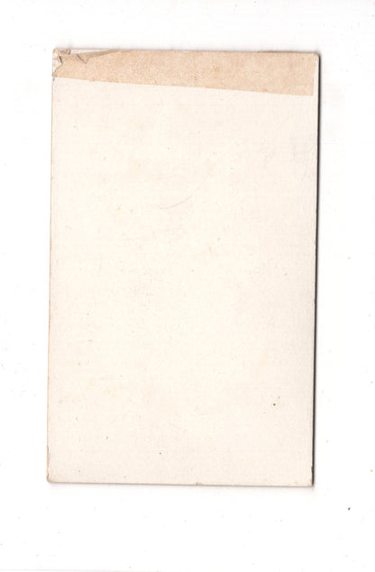 Fotografie Damenportrait - Frankfurt Main 1890er / CDV C1-12