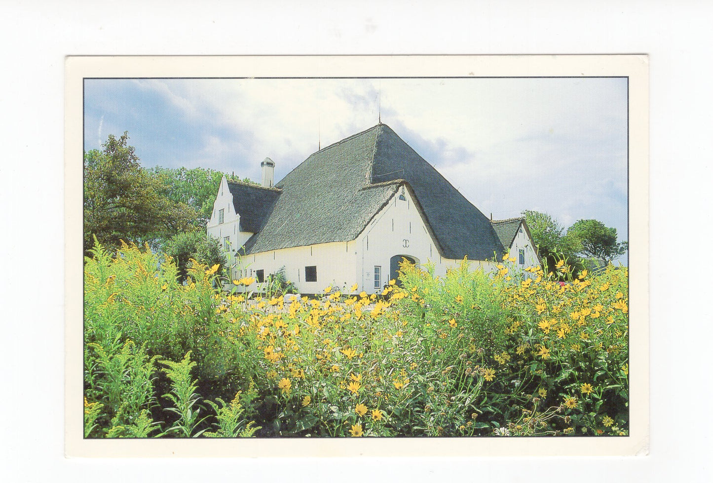 Ansichtskarte Bauernhaus auf Eiderstedt / Roter Haubarg