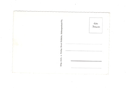 Ansichtskarte Schlangenbad / Taunus