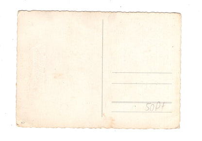 Ansichtskarte Glückwünsche / Glückwunsch zum Namenstag / L1-64