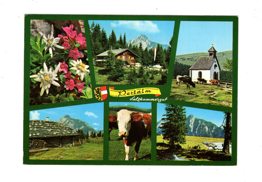 Ansichtskarte Postalm bei Strobl am Wolfgangsee / Salzkammergut / Österreich