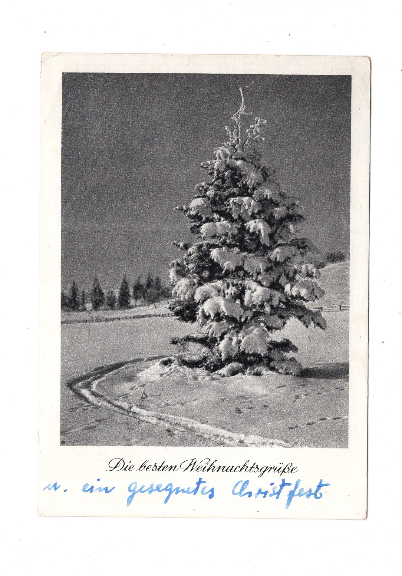 Ansichtskarte Feiertage / Frohe Weihnachten / K1-68