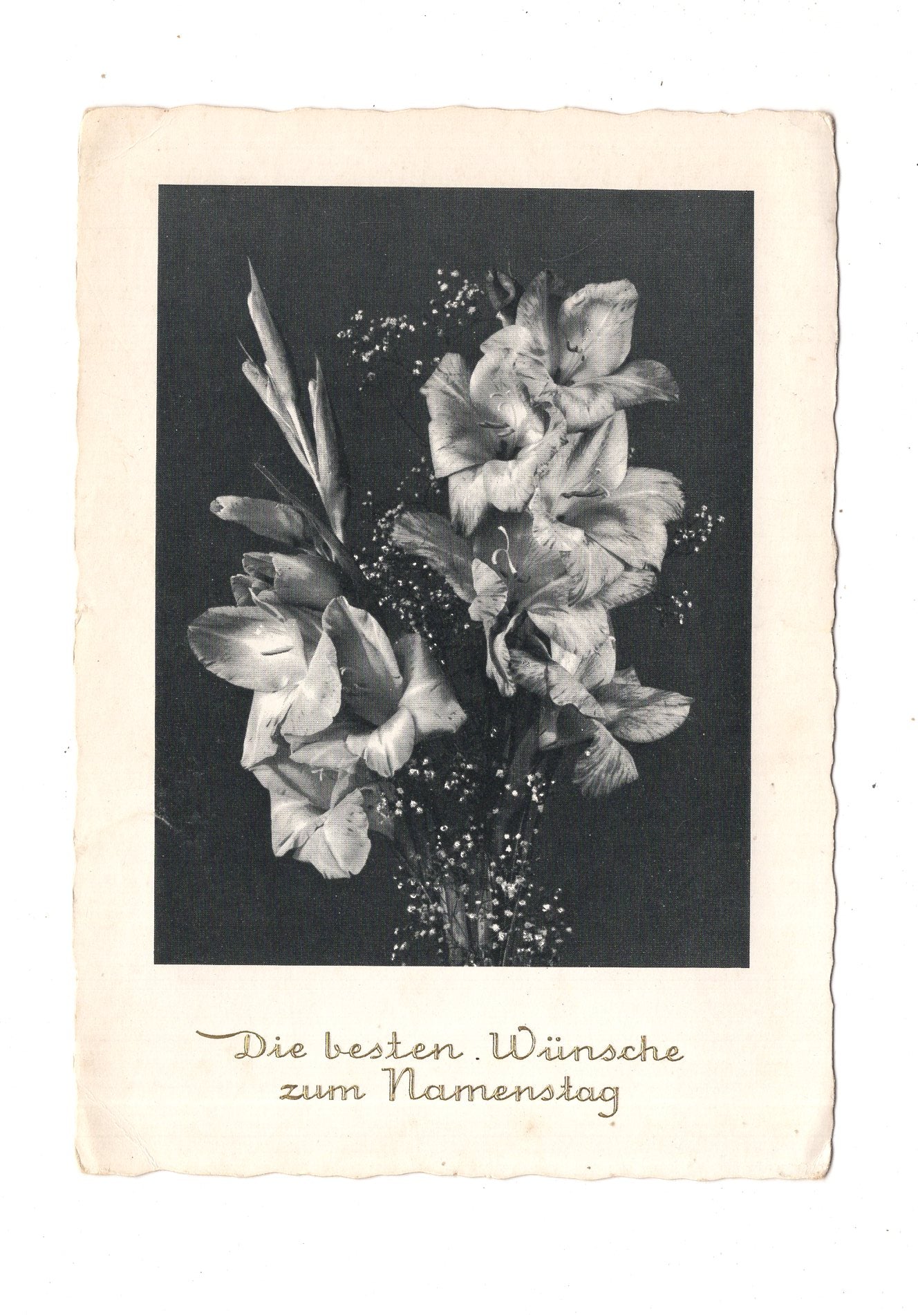 Ansichtskarte Glückwünsche / Glückwunsch zum Namenstag / L1-64