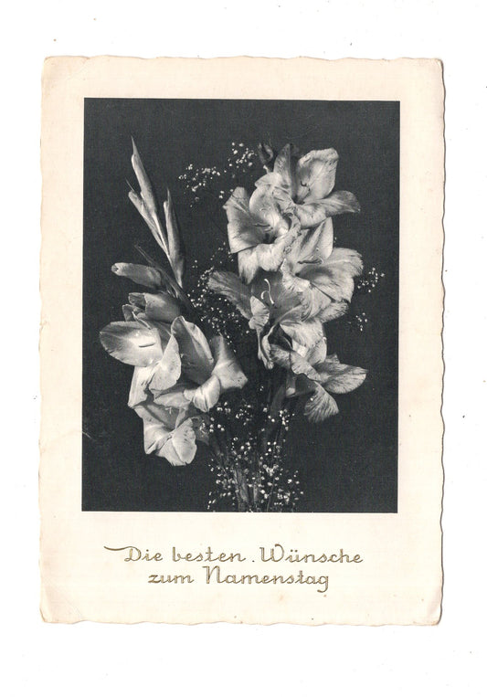 Ansichtskarte Glückwünsche / Glückwunsch zum Namenstag / L1-64