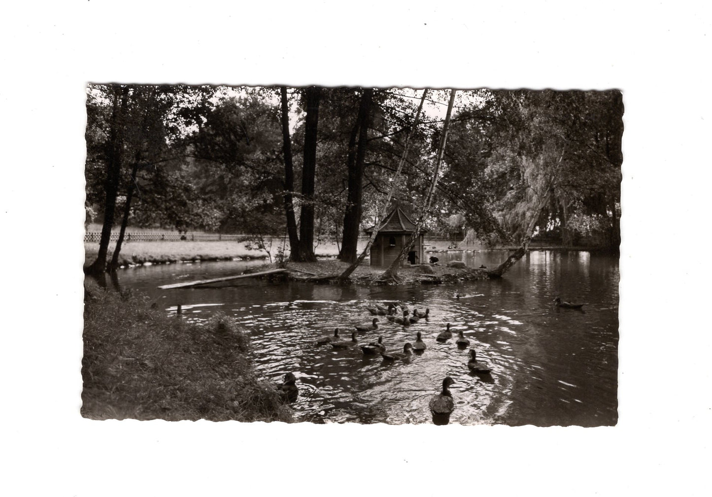 Ansichtskarte Bad Nenndorf / Erlengrund