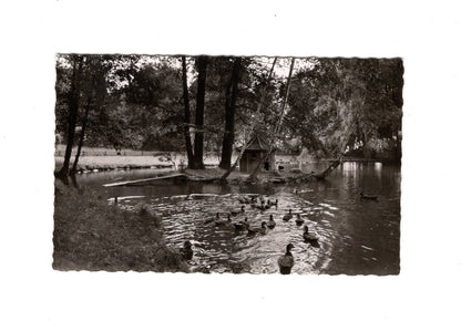 Ansichtskarte Bad Nenndorf / Erlengrund