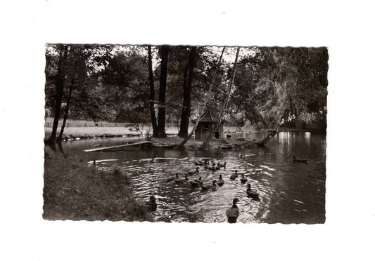 Ansichtskarte Bad Nenndorf / Erlengrund