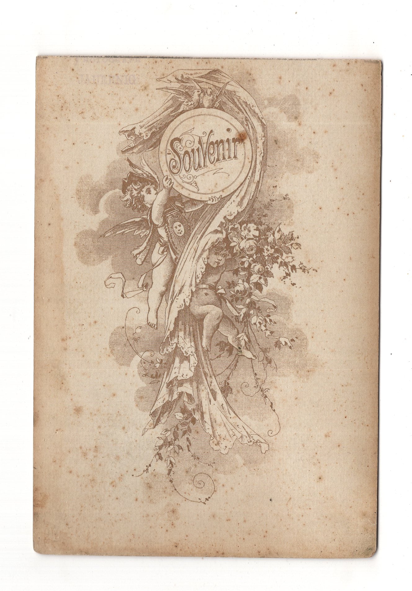 Fotografie Feine Dame - unbekannter Ort 1880er