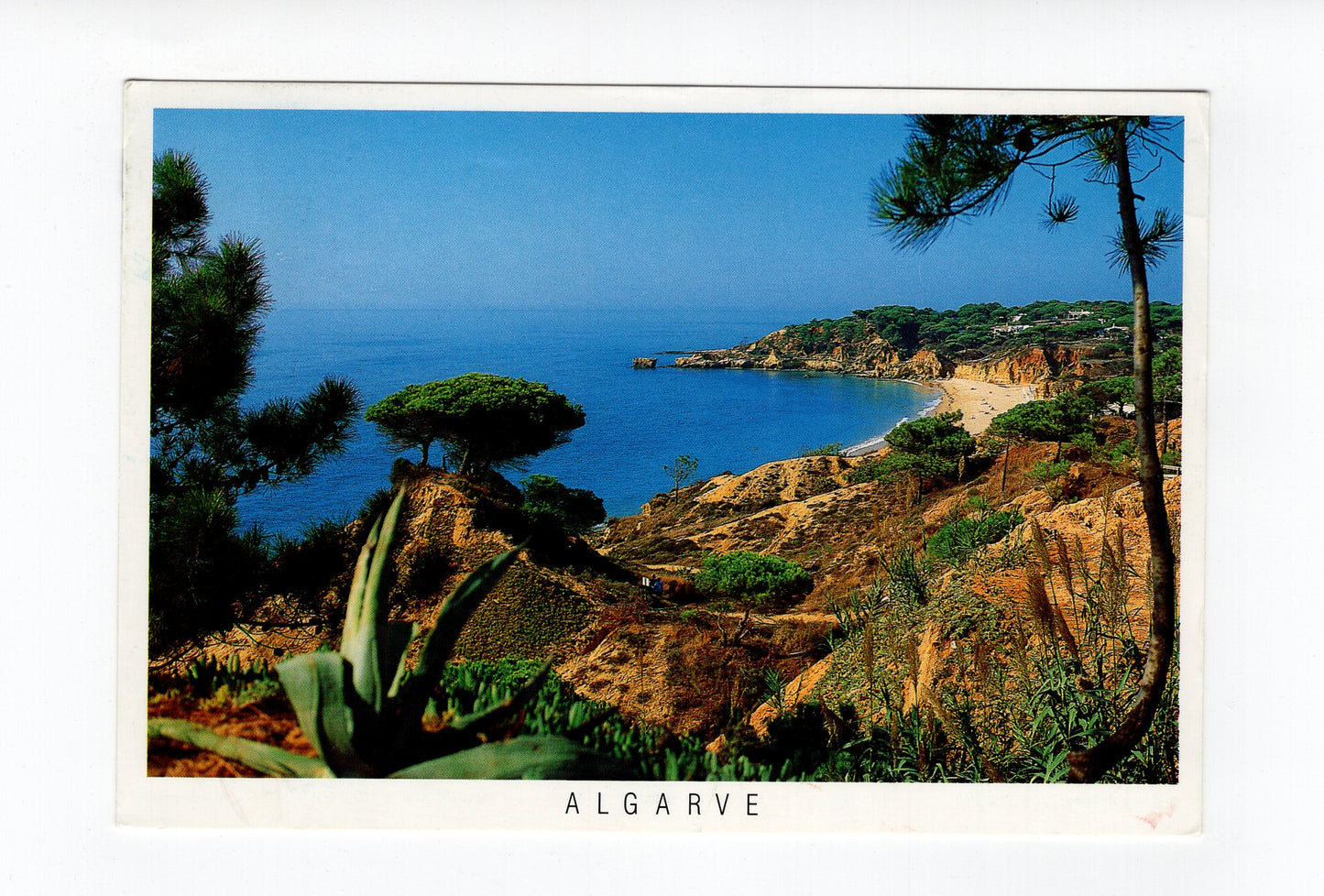 Ansichtskarte Albufeira / Algarve / Portugal