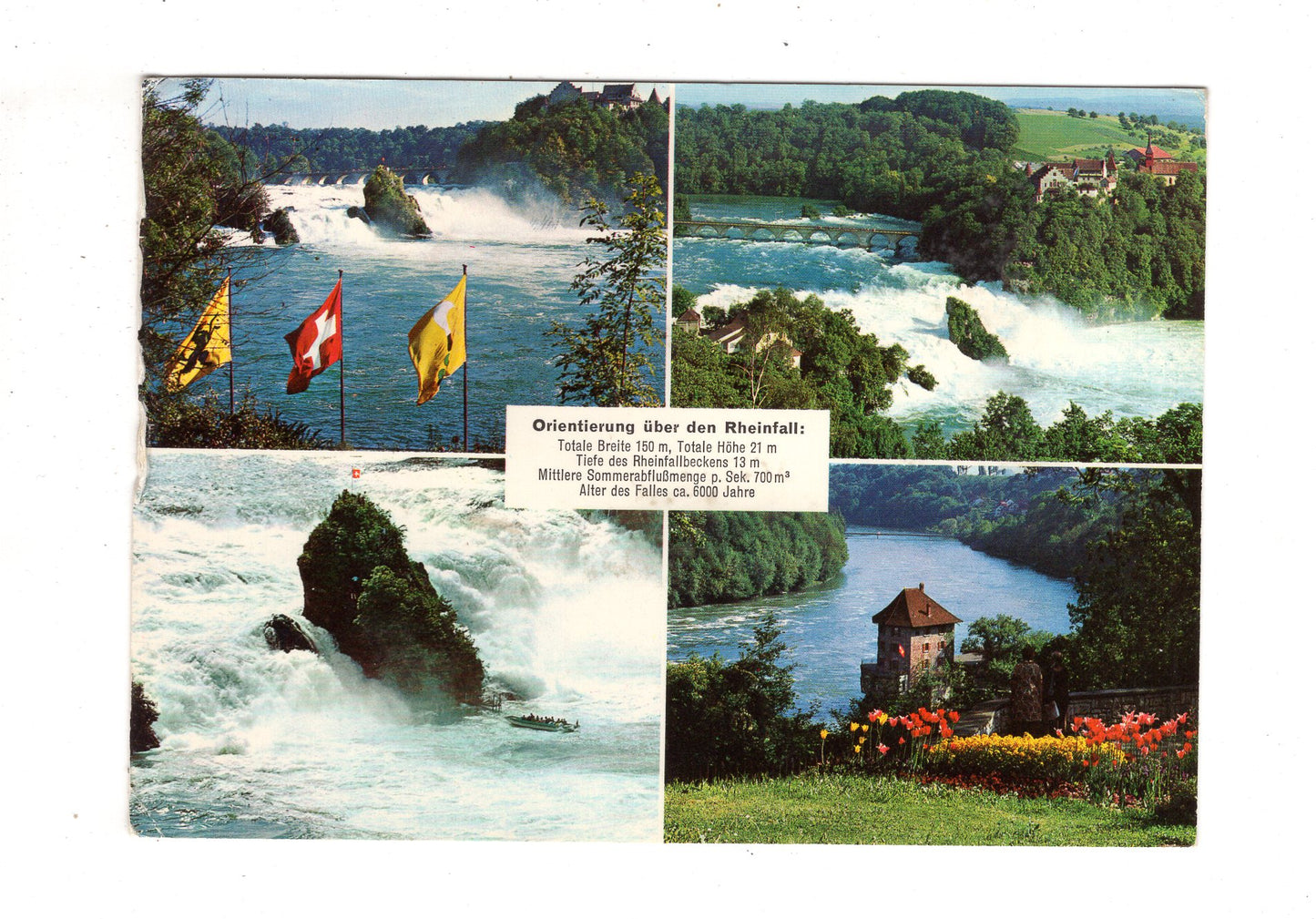 Ansichtskarte Orientierung über den Rheinfall / Schweiz