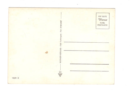 Ansichtskarte Hinterzarten im Schwarzwald / G1-66