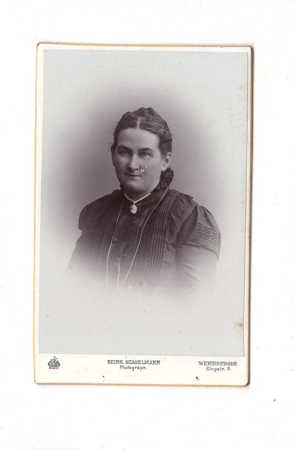 Fotografie Damenportrait - Wernigerode um 1900 / CDV C1-13