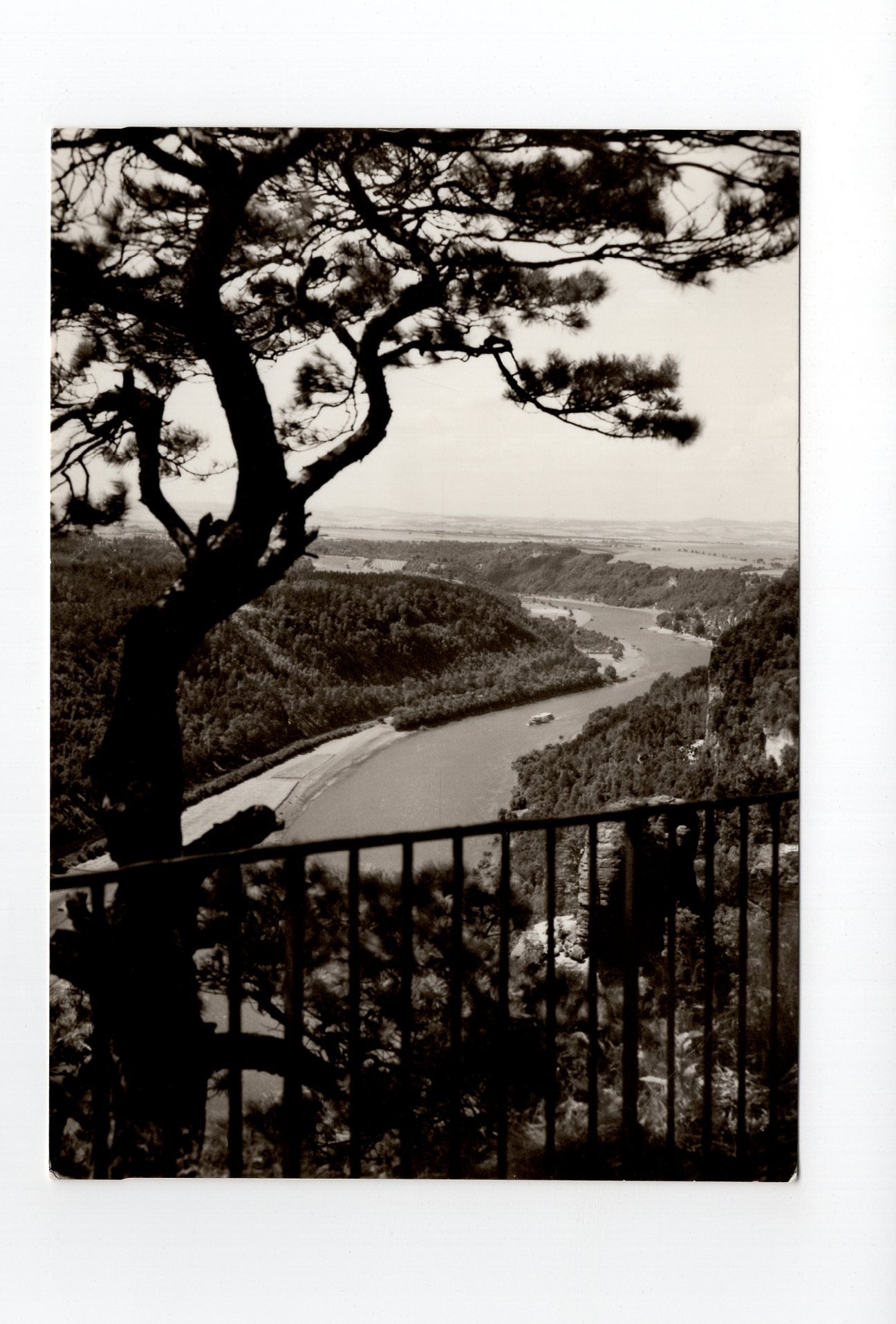 Ansichtskarte Sächsische Schweiz / Blick vom Basteifelsen nach Wehlen