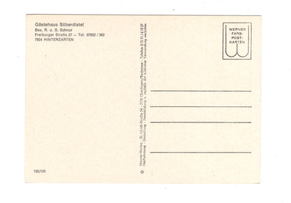 Ansichtskarte Gästehaus Silberdistel / Hinterzarten im Schwarzwald / G1-66