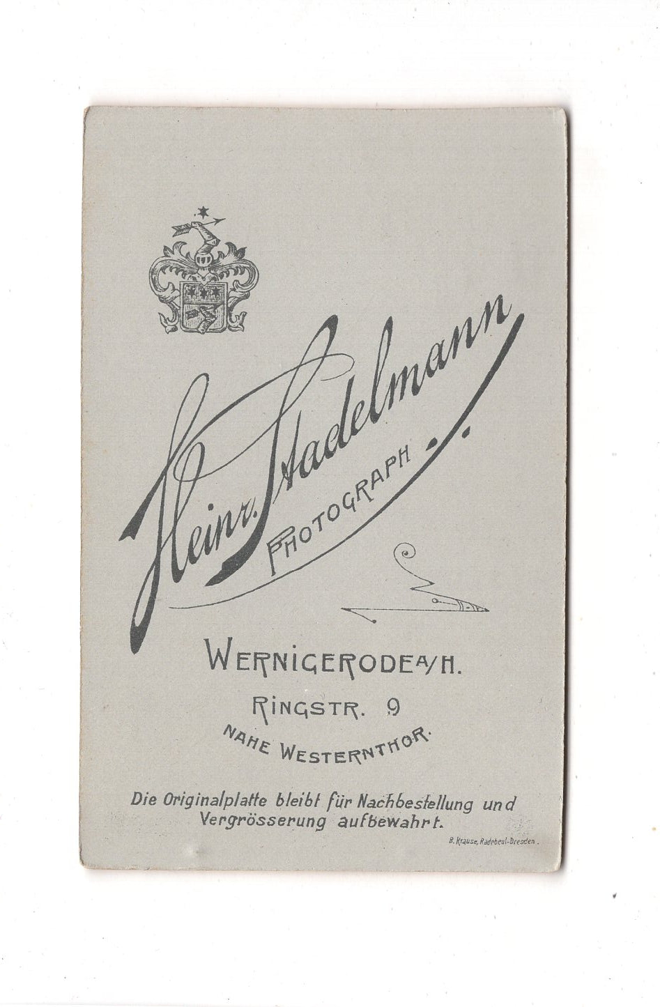 Fotografie Damenportrait - Wernigerode um 1900 / CDV C1-13