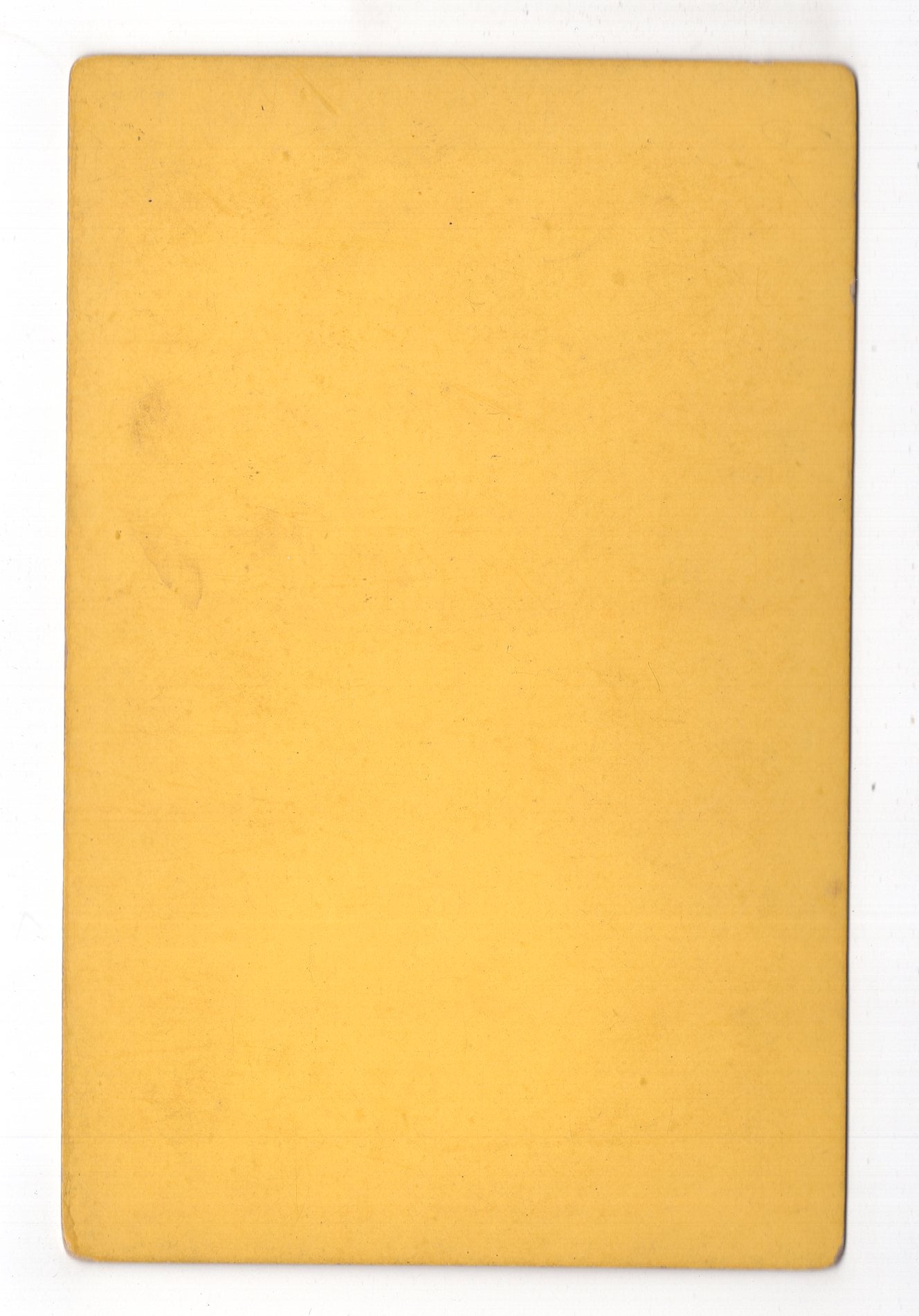 Fotografie Schloss Stolzenfels und Rhein - 1878 / CAB U-36