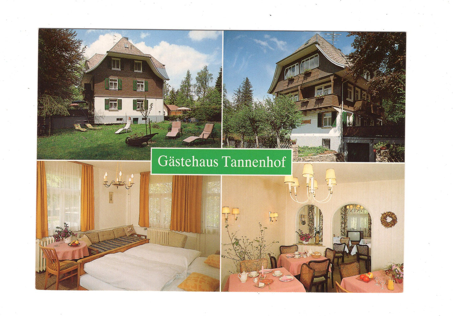 Ansichtskarte Gästehaus Tannenhof / Hinterzarten im Schwarzwald / G1-66