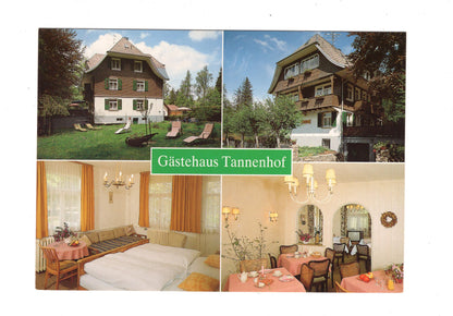 Ansichtskarte Gästehaus Tannenhof / Hinterzarten im Schwarzwald / G1-66