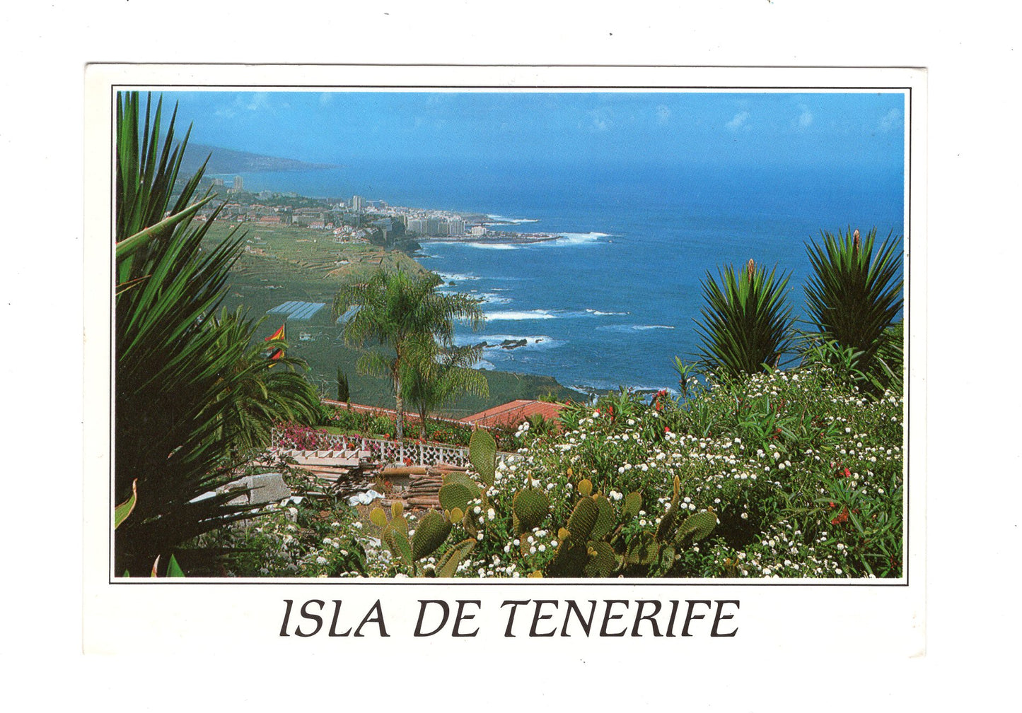 Ansichtskarte Teneriffa / Puerto de la Cruz / Spanien