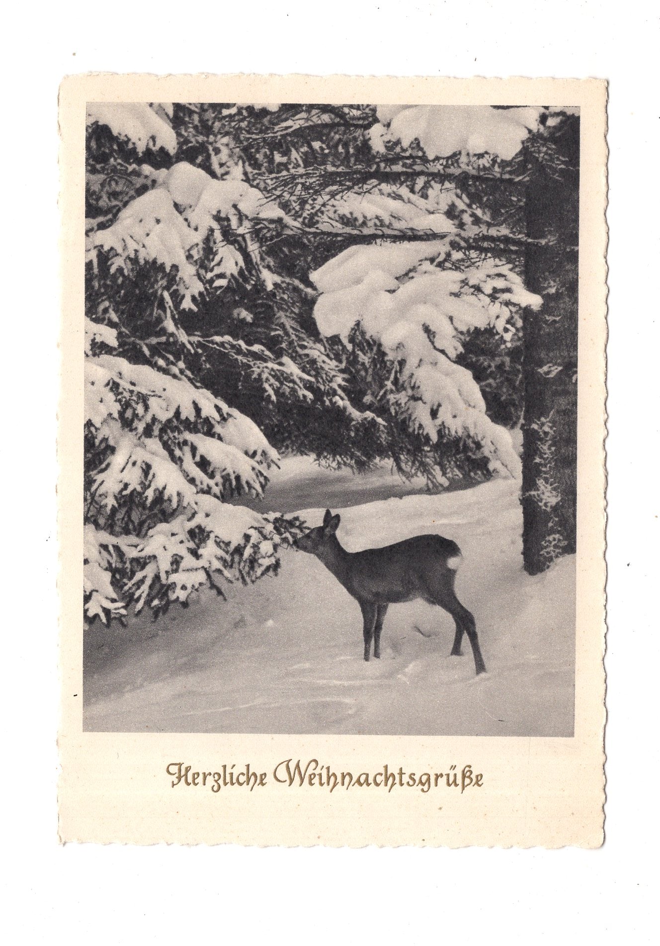 Ansichtskarte Feiertage / Frohe Weihnachten / K1-68