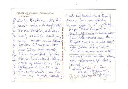 Ansichtskarte Teneriffa / Puerto de la Cruz / Spanien