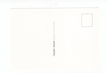 Ansichtskarte Restaurant-Café Burg Post / Schloss Eisenbach