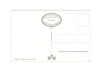 Ansichtskarte Rheinfall / Schweiz