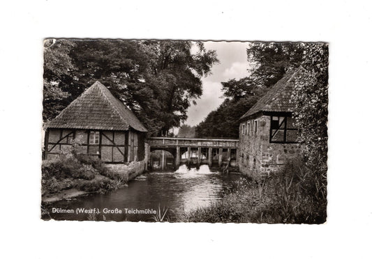Ansichtskarte Dülmen / Westfalen / Große Teichmühle